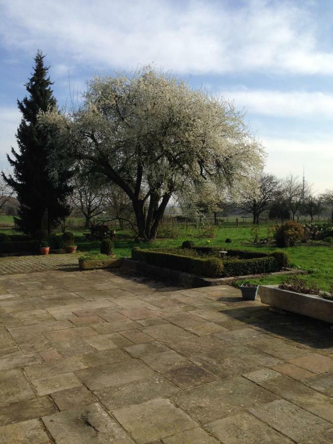 B&B Bekersveld Vlezenbeek Экстерьер фото